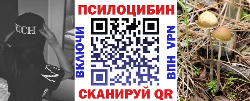 Галлюциногенные грибы Magic Shrooms  omg   Карабаш 